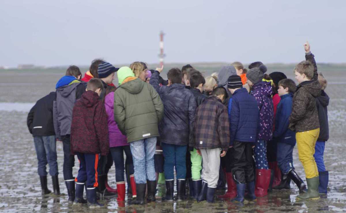 Klassenfahrt nach Wangerooge: Schülerinnen und Schüler versammeln sich interessiert um Wattführerin Petra Lösch